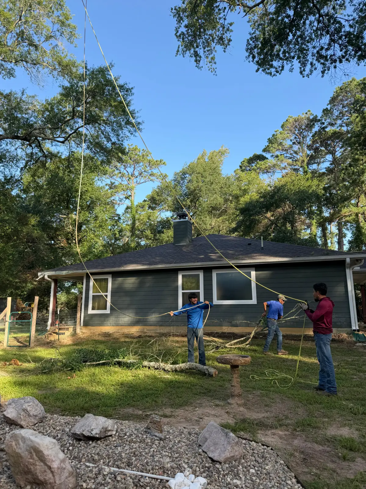 Blossom Exteriors field project