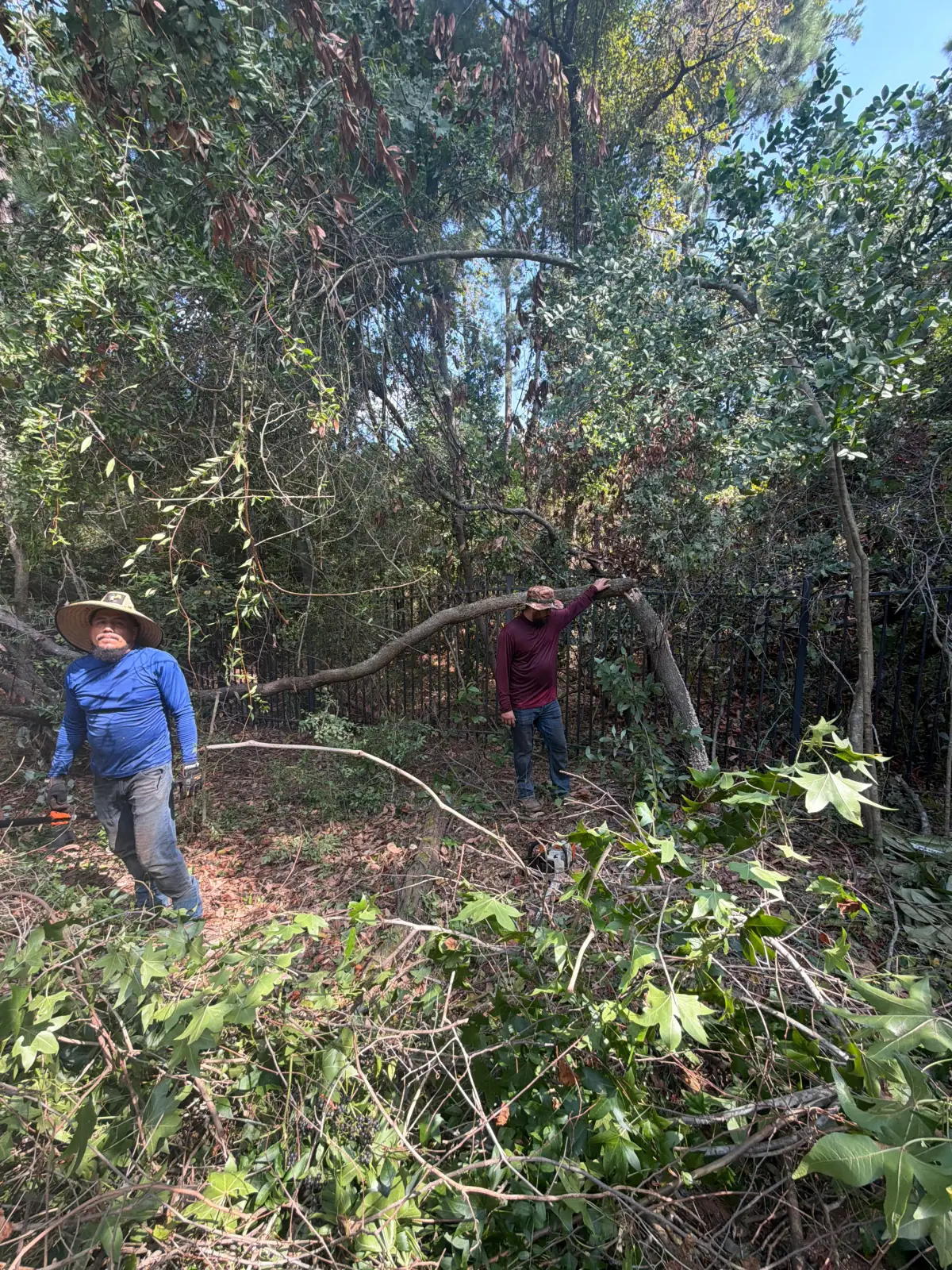Land Clearing by Blossom Exteriors