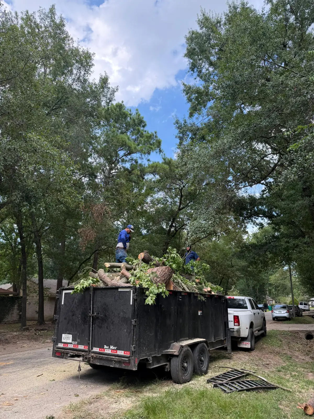 Blossom Exteriors field project